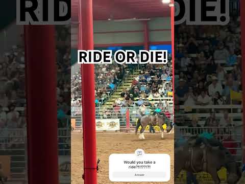 "Bull Rider’s Epic Ride: The Ultimate Challenge!" #BullRider #Rodeo #ExtremeSports #adrenalinerush