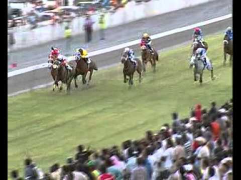 Weekend International 2011: 7e course - Sniper (Hatt)