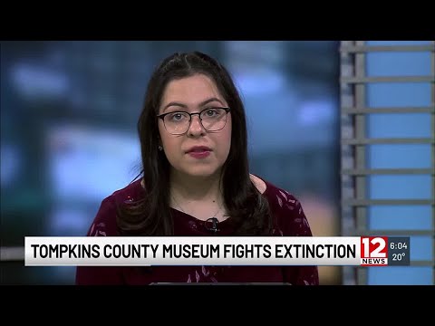 Ithaca's 'Museum of the Earth' fighting its extinction