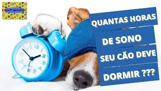 Quantas horas os cachorros devem dormir??