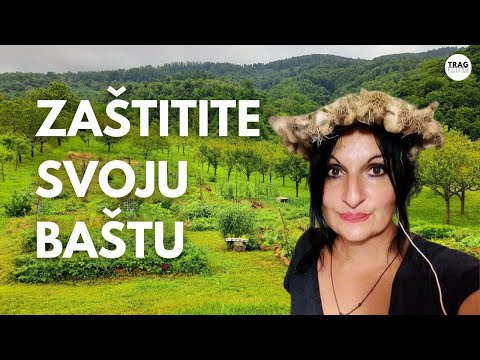 This is the way to PROTECT your GARDEN!