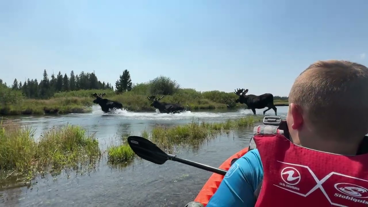 Three Charging Across the River || ViralHog