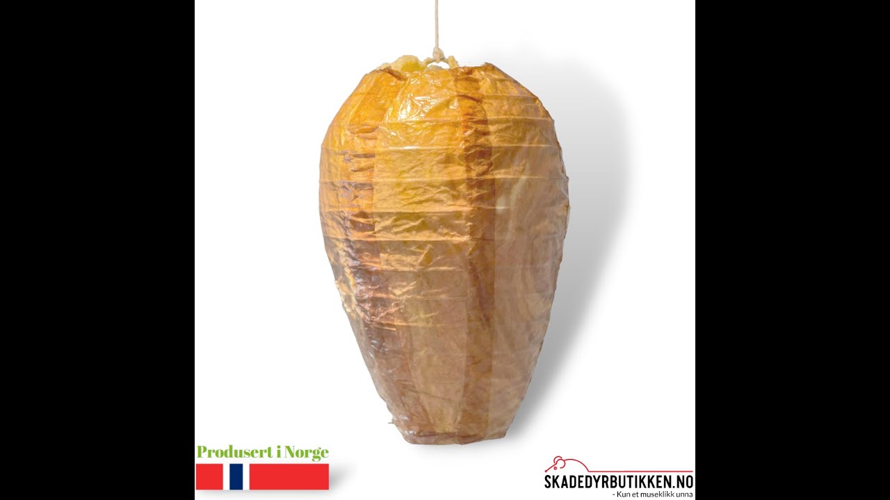 Vepsebol - Lur vepsen med fake vepsebol falskt vepsebol, fake vepsebol, lur vepsen, kjærringråd mot veps