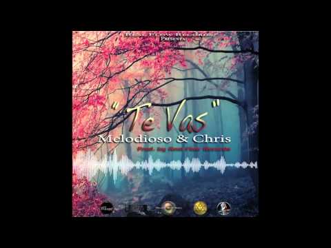 Melodioso y Chris - Te Vas (Prod. by Real Flow Records & Sr  Torres)