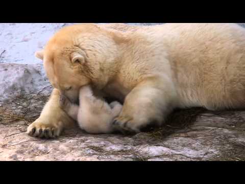 Герда со своей малышкой. 23.03.2014