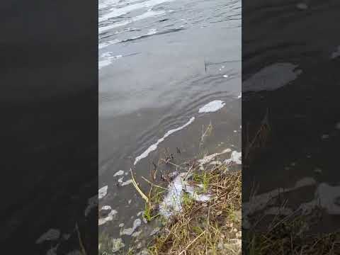 Fishing With A Jerkbait.