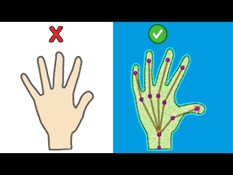 99% of OpenToonz Beginners Don't Know This About the Plastic Tool