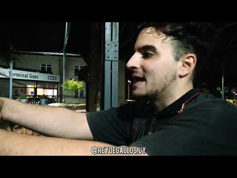 3 vs 3 Survival (Final): BELL-ACOTES vs DASI EFFECT