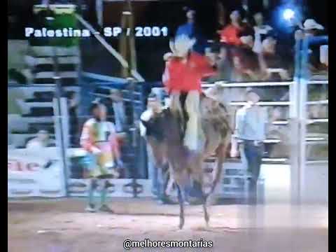 🇧🇷 Sansão Silva Menezes x Panther - Rodeio de Palestina 2001 #rodeio #cutiano