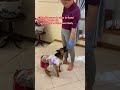 🐶my wife is allergic to animals!she is never touching animals but now! She loves Rusty to much 🐶