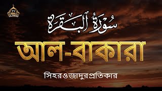 🌿 পৃথিবীর সবচেয়ে আবেগময় সূরা বাকারা তেলাওয়াত | Surah Al Baqarah (سورة البقرة) by Alaa Aqel 🎧