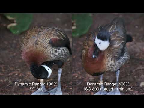 Fujifilm X-H1 Video Performance Review