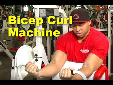 How to Use the Bicep Curl Machine