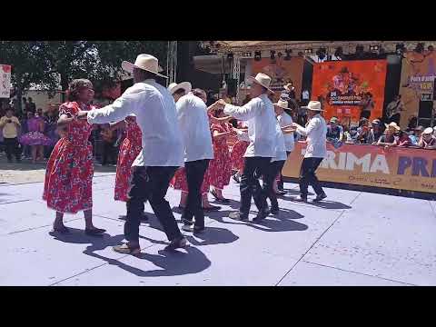 CIMARRONES DEL GÜEJAR de Vista Hermosa - 24° Joropódromo del Torneo del Joropo 2025 en Villavicencio