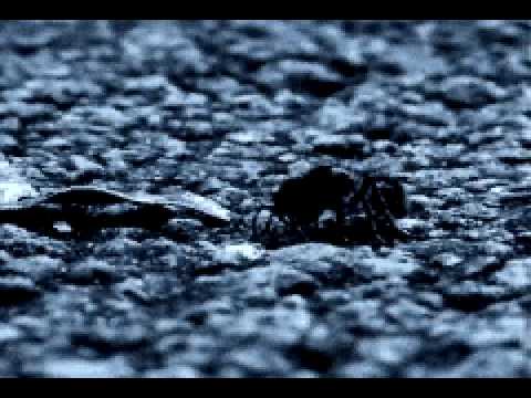 Good Trip - Forfun