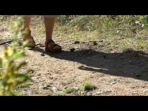 "Geh langsam, hetze nicht": Meditationsweg in Pöls