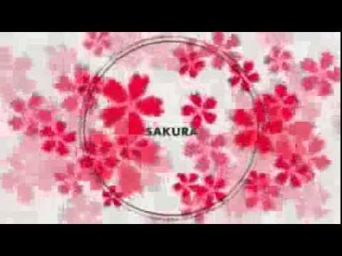 【Kiichan】桜 / Sakura 歌ってみた