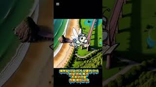 다낭 핵심 인기 투어!!바나힐 입장권, 바나힐 투어, 다낭 디너크루즈 모두 한번에비교하세요