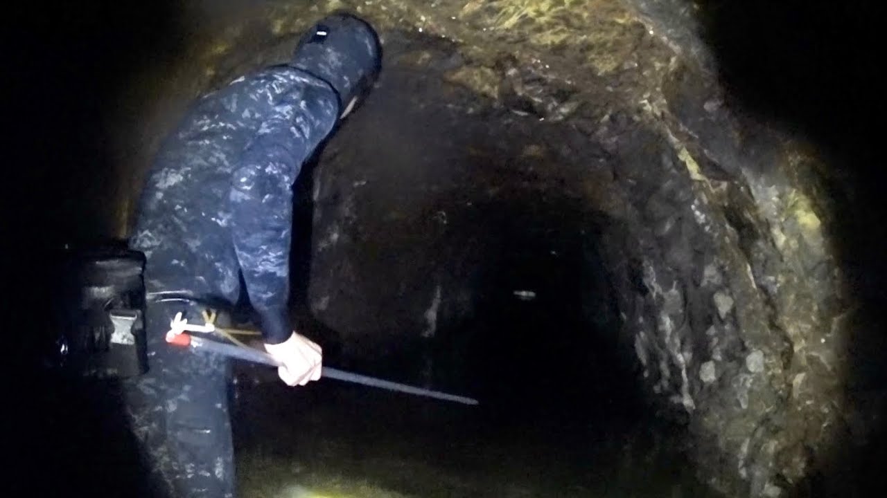 仄暗い水路の中で食料調達してみた