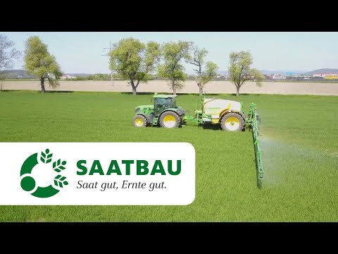 Winterweizen - Bestandesführung EC 30 bis EC 37