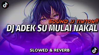 Download lagu DJ ADEK SU MULAI NAKAL SLOWED & REVERB SOUND VIRAL TIKTOK!!! / mp3
