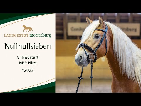 NULLNULLSIEBEN v. Neustart - Niro