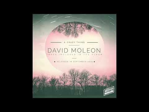 David Moleon - A Crazy Thing / included in the NEW ALBUM
