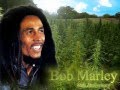 bob marly jaming 