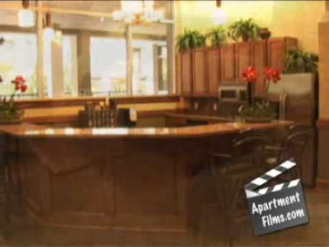 Verenda at Meyerland Aparatments - Video Tour from ...