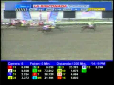 Resumen, Domingo 25 de Marzo de 2012 -La Rinconada