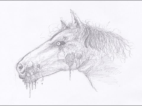 How To Draw A Realistic Horse Head | Realistic Horse Drawing 🔥🔥🐎 -  YouTube