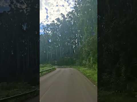 8 de março de 2026 Boqueirão do Leão  RS