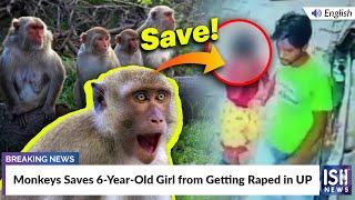 Monkeys Save 6-Year-Old Girl from Getting Raped in UP