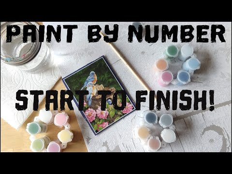 Dimensions Paint By Number