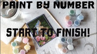 Paint & Chat! Paint By Number- Garden Bluebirds by Dimensions Paint Works.