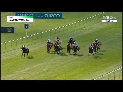 Palace House Stakes - Gruppe 3