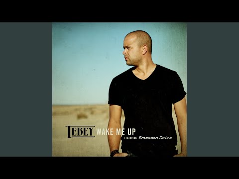 Wake Me Up