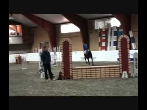 Devil til salgs, Ponni kat 2