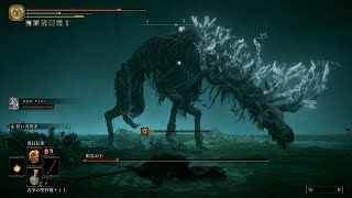【ELDEN RING】BOSS 祖霊の王戦