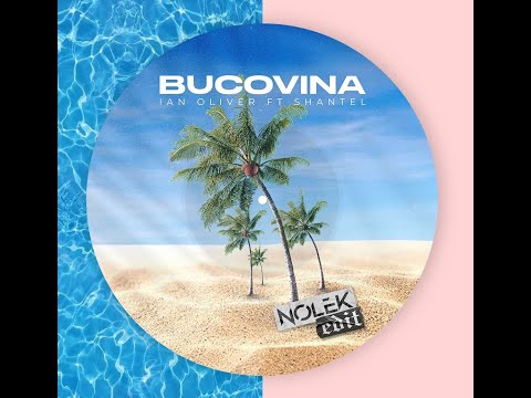 Ian Oliver Feat. Shantel - Bucovina (Nolek Edit) [Tech House]