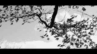 Snowblind - Clear Waters (Video Lyric) HD