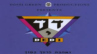 דדי גראוכר - חברון (1996) Dedi Graucher - Chevron