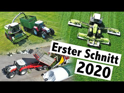 Erster Schnitt 2020 mit Claas Cougar 1400, Claas Jaguar und Silospeed | Lohnunternehmen Altenbuchner