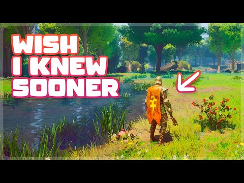 40+ Tips I Wish I Knew Sooner | RuneScape: Dragonwilds