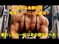 1年間で各部位どれだけトレーニングやってきたか集計してみたら驚きの結果に！