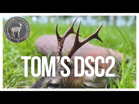 DSC2 START to FINISH (incl. the stalk)
