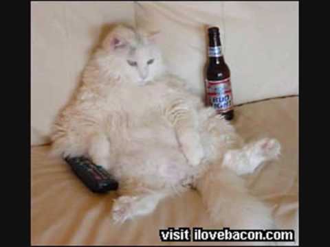 X-Press 2 Ft. David Byrne - Lazy