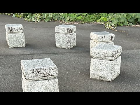 ダニエル・ハートウィッチ辞任:ジャングル・キャンプのスターたちの悲しみ