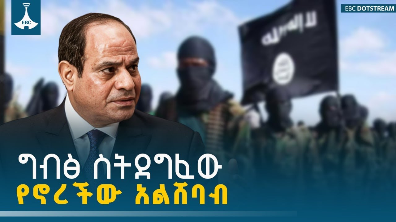 አልሸባብ በቀጠናው ከፈፀማችው የሽብር ጥቃቶች ጀርባ የተደበቀው የግብፅ እጅ | Egypt | Alsh