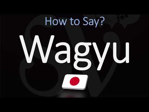 1st YouTube video about how to say wagyu beef